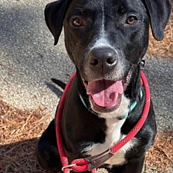 Photo of Scooter