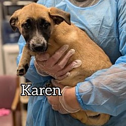 Thumbnail photo of Karen #2