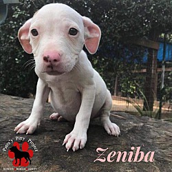 Photo of Zeniba