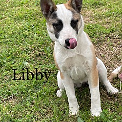 Photo of CK1 Libby