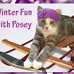 Thumbnail photo of Posey #1