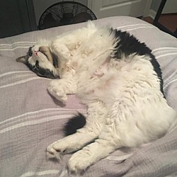 Photo of Clyde