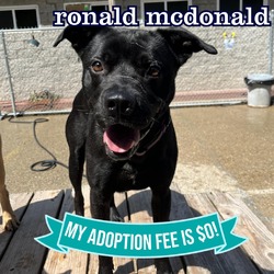 Thumbnail photo of Ronald Mcdonald #2