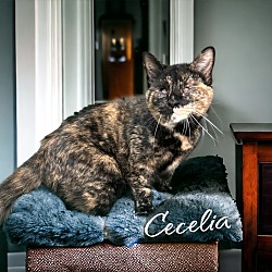 Photo of Cecelia