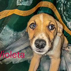 Thumbnail photo of Wioleta #4