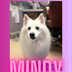Thumbnail photo of Mindy-St. Louis, MO #4