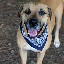 Photo of Sam