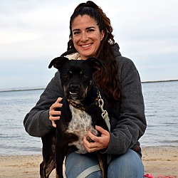 Photo of Lua