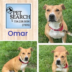 Thumbnail photo of Omar #2