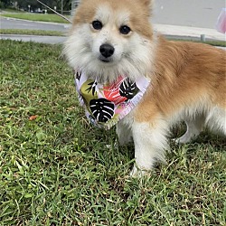 Photo of Kaizen
