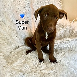 Photo of Super Man