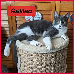 Photo of Galileo