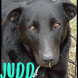Photo of Judd