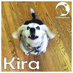 Thumbnail photo of Kira #1