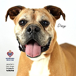 Thumbnail photo of Diego Boxer #1