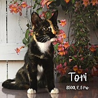 Photo of Tori