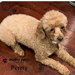 Thumbnail photo of Penny #2