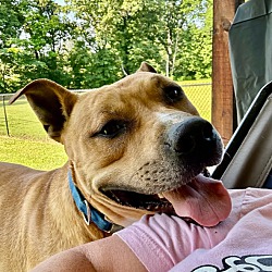 Thumbnail photo of Murph (6/12) - loverboy! #4