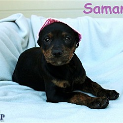 Thumbnail photo of Samana #4