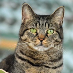 Photo of Catsy Cline