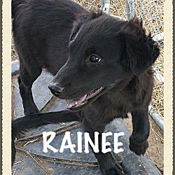 Photo of Rainee
