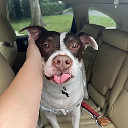 Photo of Duke