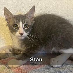 Thumbnail photo of Stan #1
