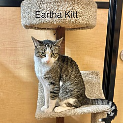 Thumbnail photo of Eartha Kitt #2