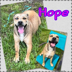 Thumbnail photo of hope #1