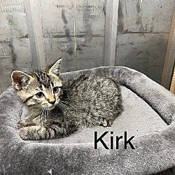 Photo of Kirk