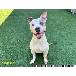 Photo of NALA