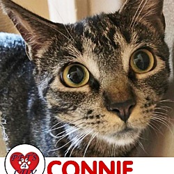 Thumbnail photo of Connie #1