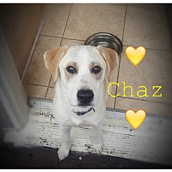 Photo of Chaz