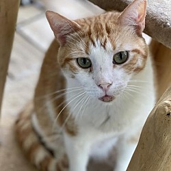 Thumbnail photo of Buddy Boy #2