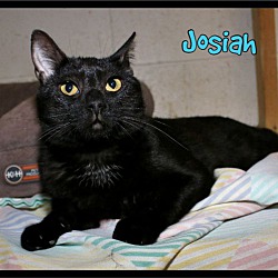Photo of Josiah