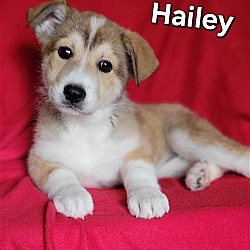 Photo of Hailey