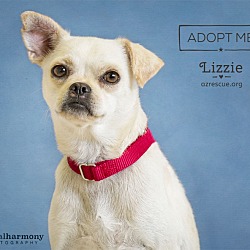 Thumbnail photo of Lizzie #2