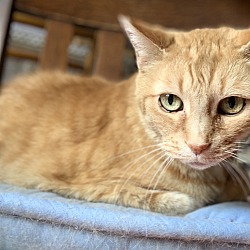 Photo of Clio - ET