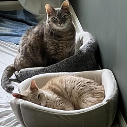 Photo of Clarissa (and Leo Tolstoy)