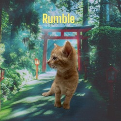 Thumbnail photo of Rumble #1