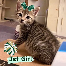 Thumbnail photo of Jet Girl #3