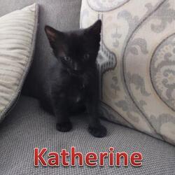 Photo of Katherine