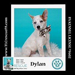 Thumbnail photo of Dylan (Daisy's Droplets) 051824 #2