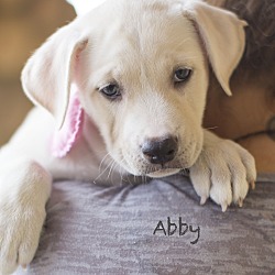 Photo of ABBY