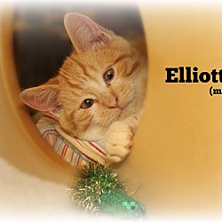 Thumbnail photo of Elliott #3