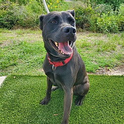 Photo of Zelda
