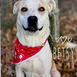 Thumbnail photo of Betsy #2