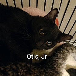 Photo of Otis jr
