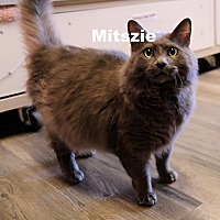 Photo of Mitszie 220387