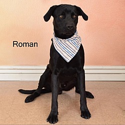 Photo of Roman